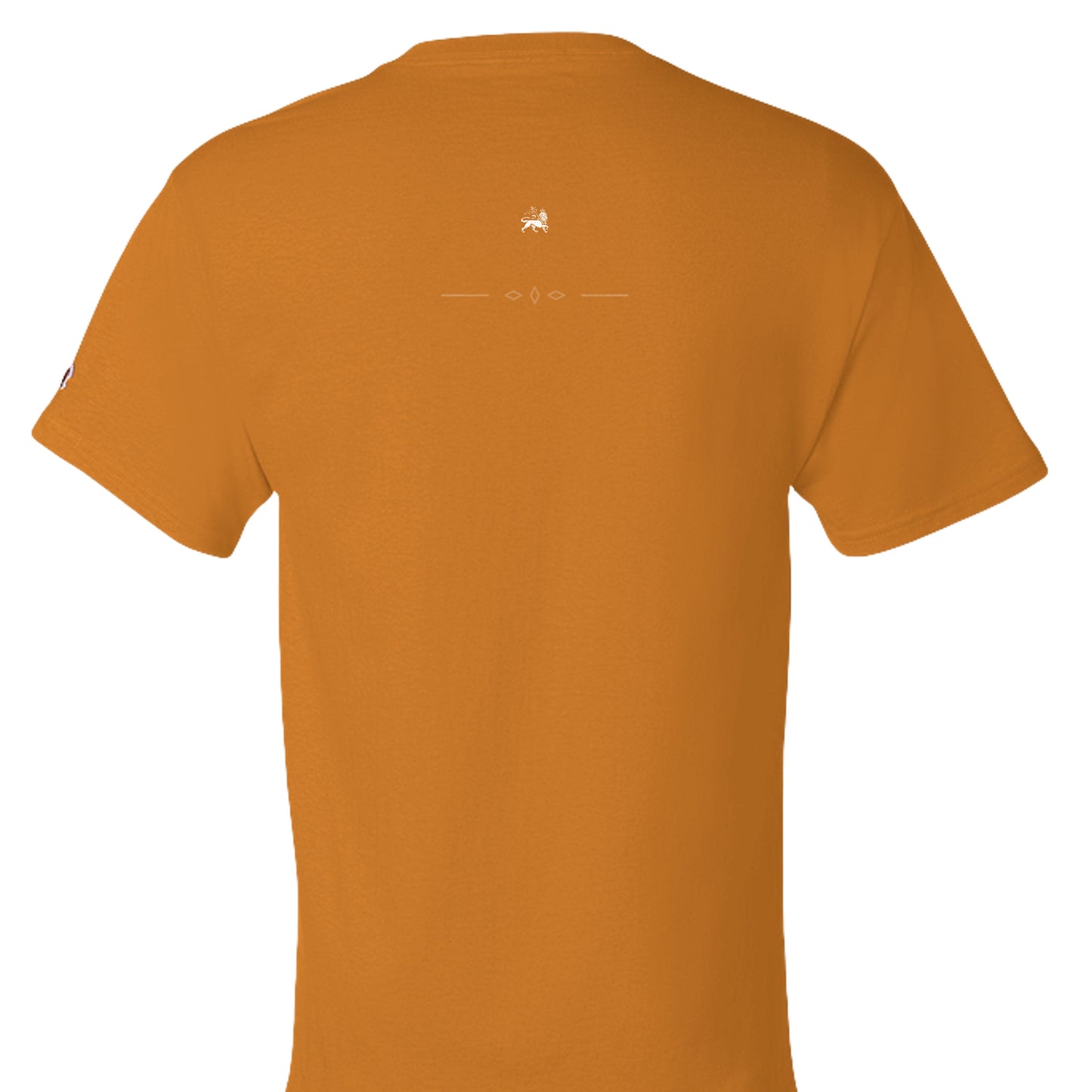 ORANGE - T425 - BACK